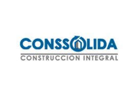Conssolida